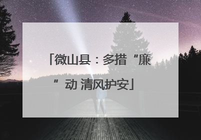 微山县：多措“廉”动 清风护安